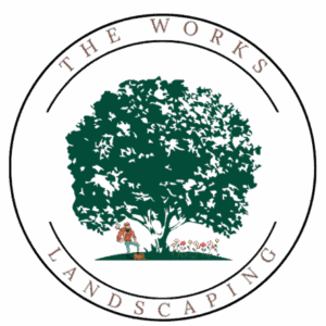 66f58341818446db296249d4_265842 66f58341818446db296249d4_265842